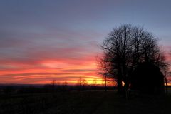 IMG_5201