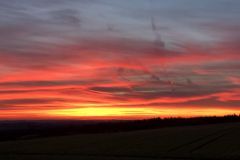 IMG_5204