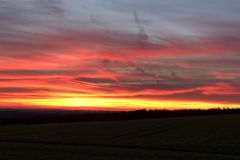 IMG_5206