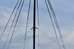 ECB15599-EB84-4EB0-AF6E-671C0832C79A